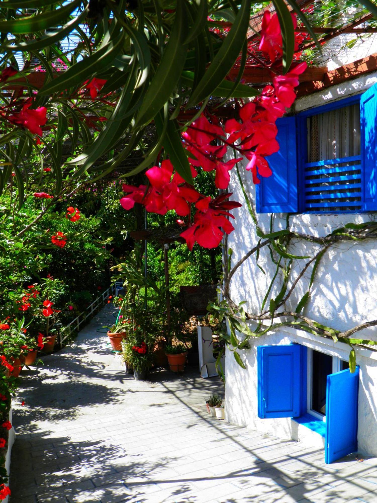 Hotel Alpha Stegna Sun à Archangelos  Extérieur photo