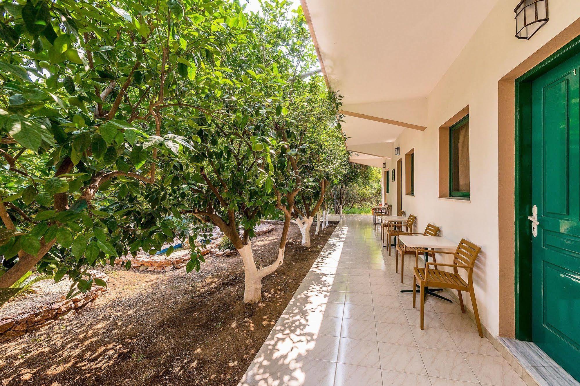 Hotel Alpha Stegna Sun à Archangelos  Extérieur photo